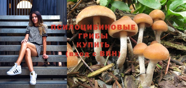 дмт Богородск