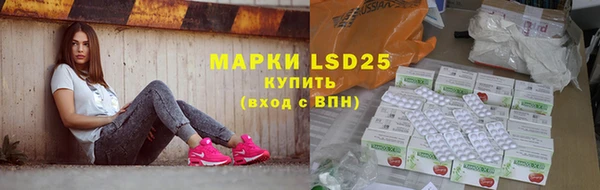 PSILOCYBIN Бугульма