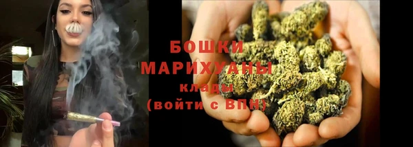 дмт Богородск