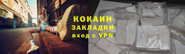 бошки Бородино
