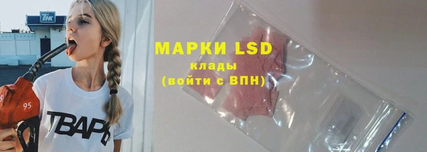 spice Богородицк