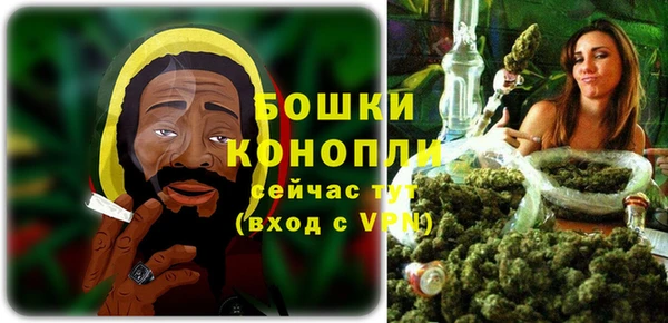 дмт Богородск