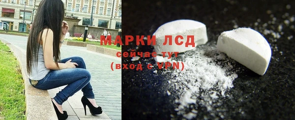 бошки Бородино