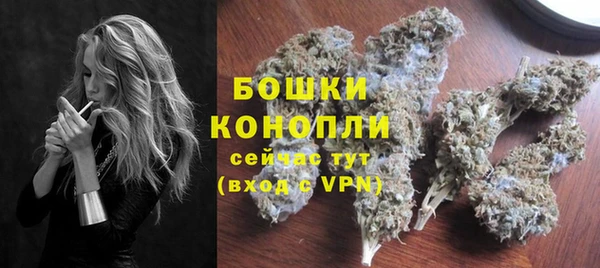 бошки Бородино