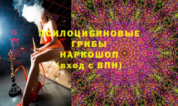 бошки Бородино