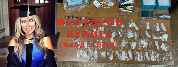 spice Богородицк