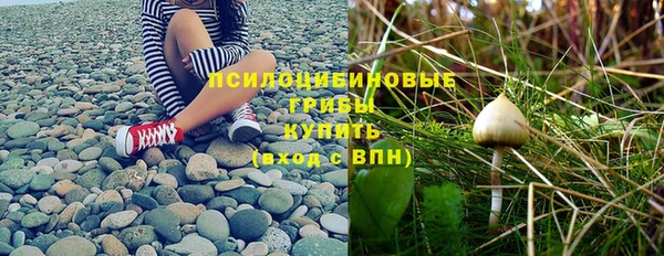 spice Богородицк