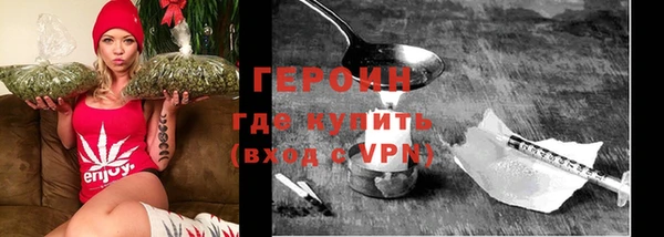 spice Богородицк