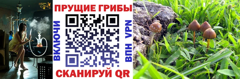 Псилоцибиновые грибы MAGIC MUSHROOMS  KRAKEN ТОР  Володарск 